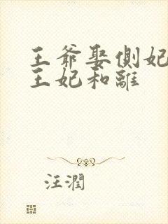 王爷娶侧妃当天王妃和离