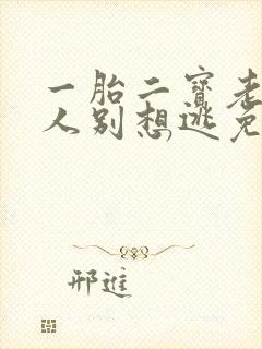 一胎二宝老婆大人别想逃免费阅读全文