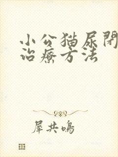 小公猫尿闭后的治疗方法