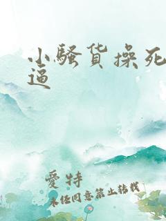 小骚货操死你的逼