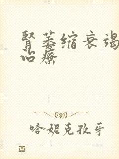 肾萎缩衰竭怎么治疗