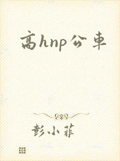 高hnp公车