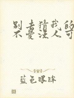 别去猜我的爱与不爱没人可替代是什么歌