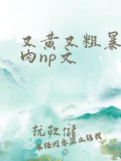 又黄又粗暴的纯肉np文
