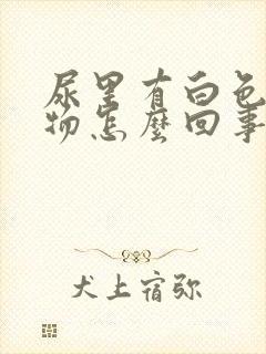 尿里有白色沉淀物怎么回事