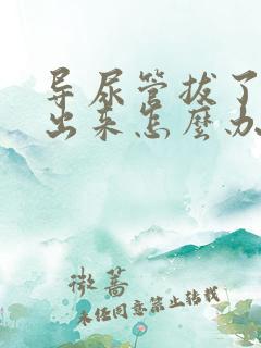 导尿管拔了尿不出来怎么办吃什么药