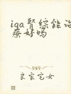 iga肾综能治疗好吗