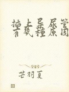 插上导尿管漏尿有几种原因