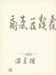 天生一对泰剧未删减在线观看