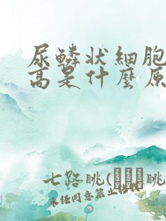 尿鳞状细胞计数高是什么原因引起的