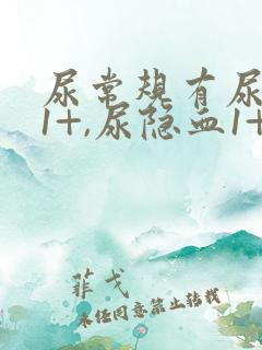 尿常规有尿蛋白1+,尿隐血1+是怎么回事