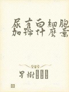 尿有白细胞3个加号什么意思