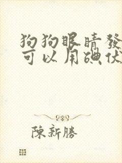 狗狗眼睛发炎了可以用碘伏吗