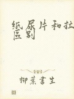 纸尿片和拉拉裤区别