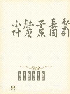 小肚子长赘肉是什么原因引起的