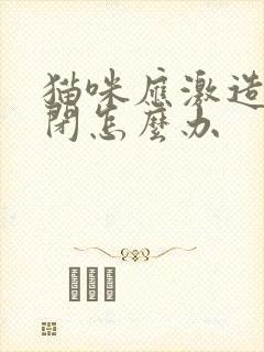 猫咪应激造成尿闭怎么办