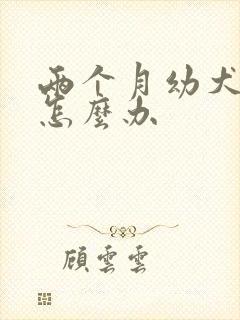 两个月幼犬乱尿怎么办