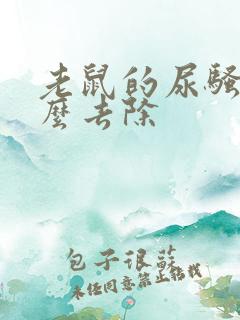 老鼠的尿骚味怎么去除