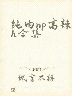 纯肉np高辣文h合集