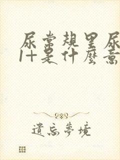 尿常规里尿蛋白1+是什么意思