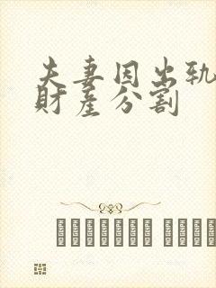 夫妻因出轨离婚财产分割