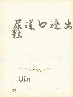 尿道口边出小肉粒