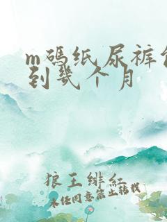 m码纸尿裤能用到几个月