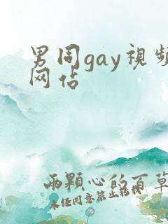 男同gay视频网站