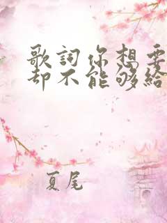 歌词你想要的我却不能够给你我所有