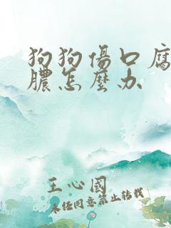 狗狗伤口腐烂化脓怎么办