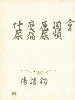 什么原因会导致尿痛尿频