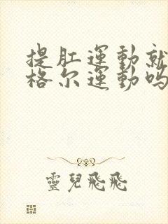 提肛运动就是凯格尔运动吗