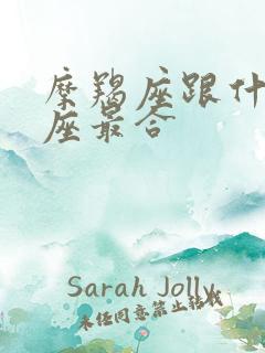 摩羯座跟什么星座最合