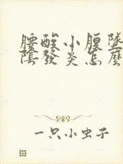 腰酸小腹坠胀外阴发炎怎么回事