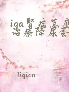 iga肾病怎么治疗降尿蛋白