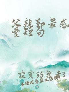 父亲节最感人父爱短句