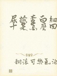 尿检查白细胞2十是怎么回事