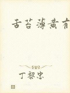 舌苔薄黄有齿痕