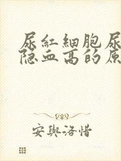 尿红细胞尿蛋白隐血高的原因