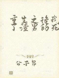 重生之后我嫁给了渣男的死对头