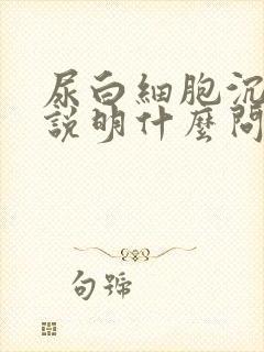 尿白细胞沉渣高说明什么问题女性