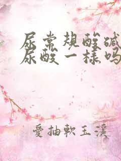 尿常规酸碱度和尿酸一样吗