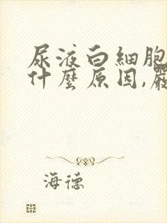 尿液白细胞高是什么原因,严重吗