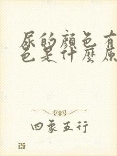 尿的颜色有点绿色是什么原因