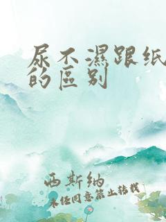 尿不湿跟纸尿裤的区别