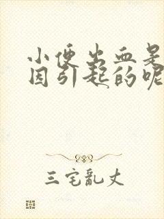 小便出血是啥原因引起的呢