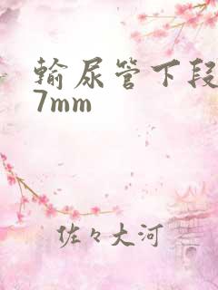 输尿管下段结石7mm