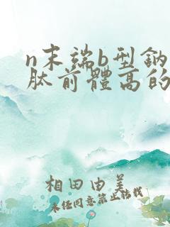 n末端b型钠尿肽前体高的原因