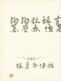 狗狗拉稀有血丝怎么办 但是很活泼