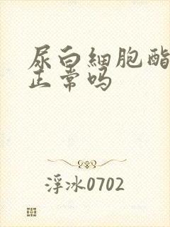 尿白细胞酯酶±正常吗